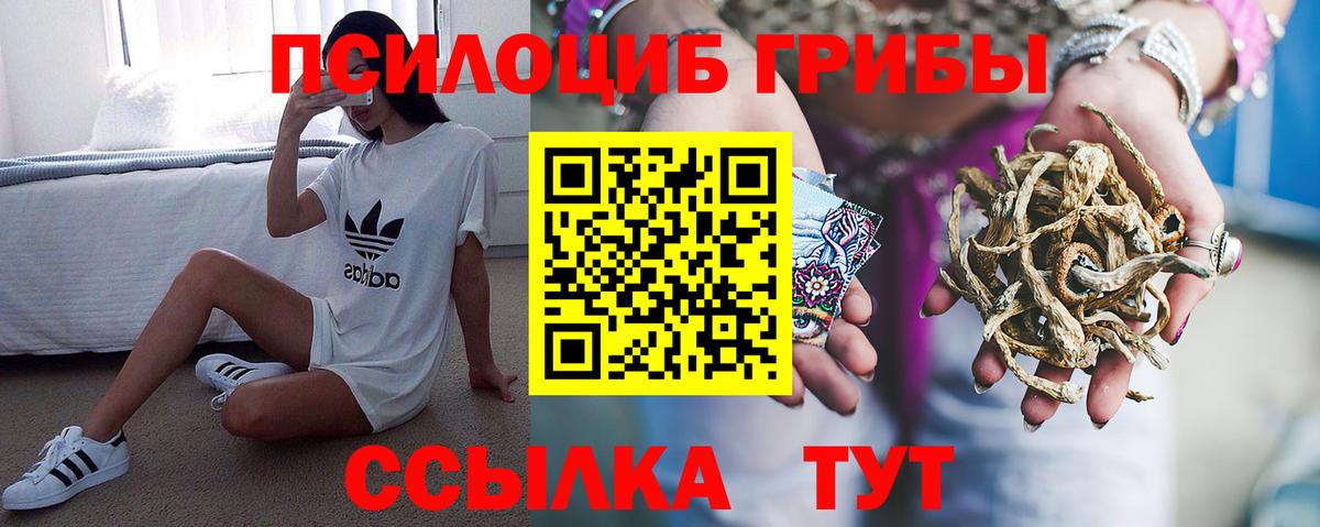 Чебаркуль  Псилоцибиновые грибы ЛСД  Вход с VPN 